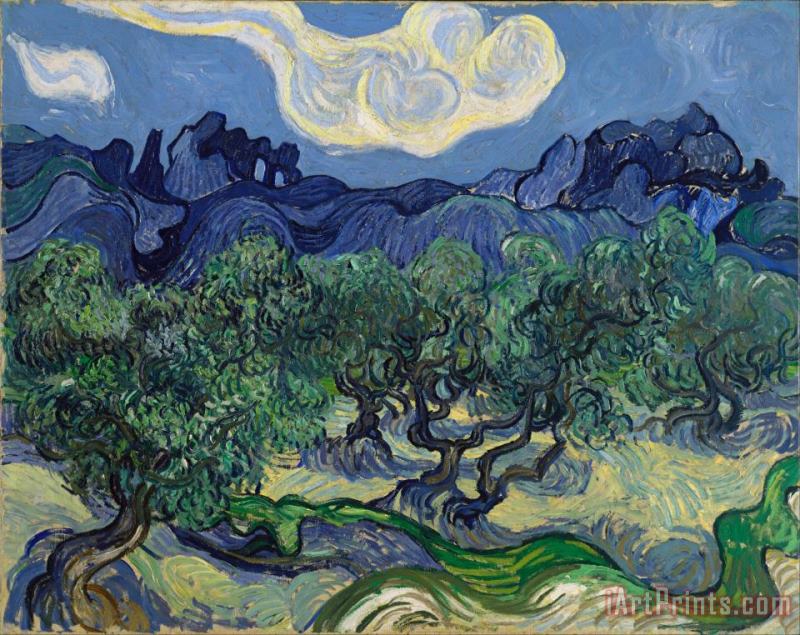 Vincent van Gogh The Olive Trees Art Painting