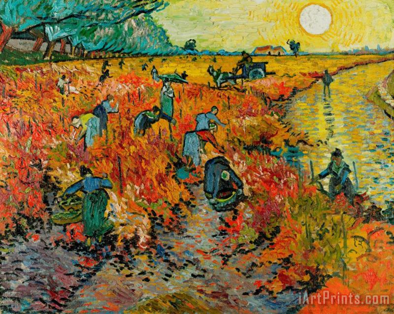 The Red Vineyard painting - Vincent van Gogh The Red Vineyard Art Print