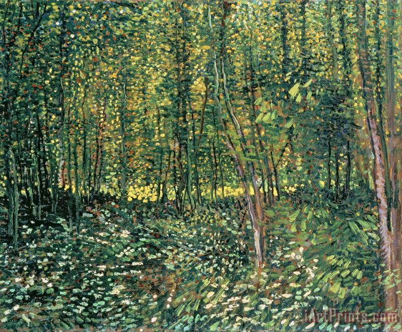 Trees and Undergrowth painting - Vincent van Gogh Trees and Undergrowth Art Print