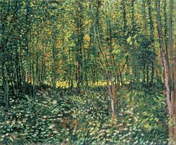 Vincent van Gogh Trees and Undergrowth painting