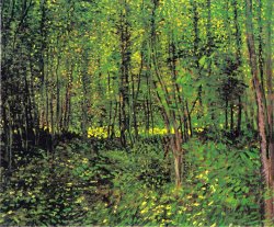 Vincent van Gogh Trees And Underwood painting