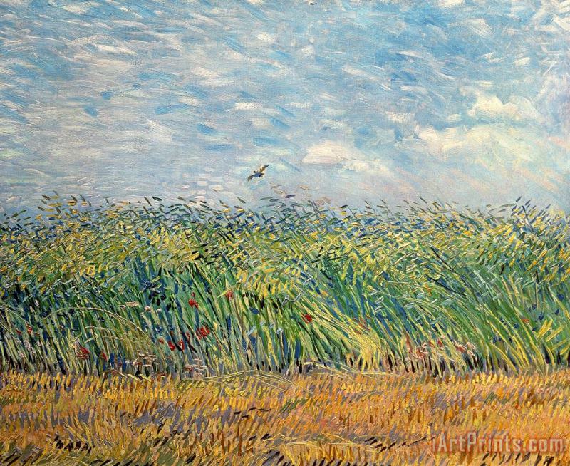 Wheatfield With Lark painting - Vincent van Gogh Wheatfield With Lark Art Print