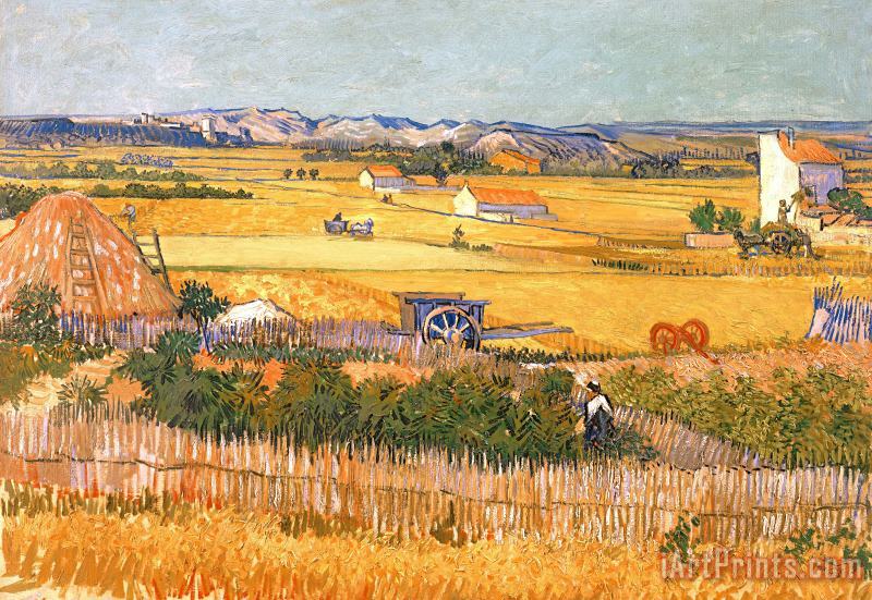 Vincent van Gogh Wheatfields Art Print