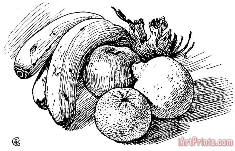 Walter Crane Pen Drawing Of Fruit Art Print