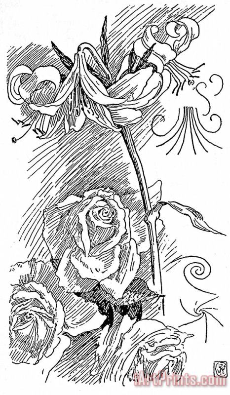 Rose And Lily Line Drawing painting - Walter Crane Rose And Lily Line Drawing Art Print