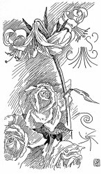 Walter Crane Rose And Lily Line Drawing