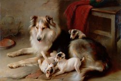 Walter Hunt A Collie with Fox Terrier Puppies