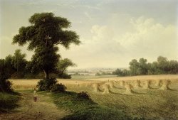 Walter Williams Harvesting