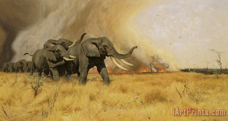 Wilhelm Kuhnert Elephants Moving Before a Veldt Fire Art Print