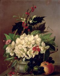 Willem van Leen Christmas Roses