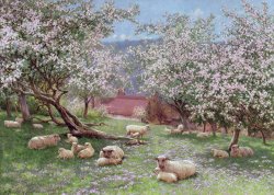 William Biscombe Gardner Appleblossom