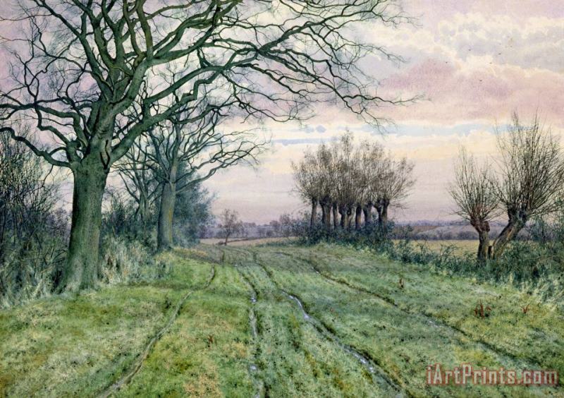 William Fraser Garden A Fenland Lane with Pollarded Willows Art Print