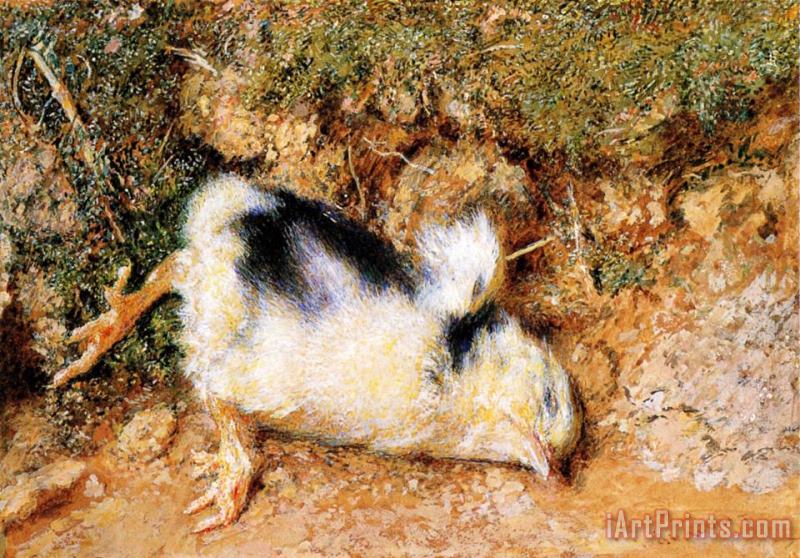 William Henry Hunt John Ruskin's Dead Chick Art Painting
