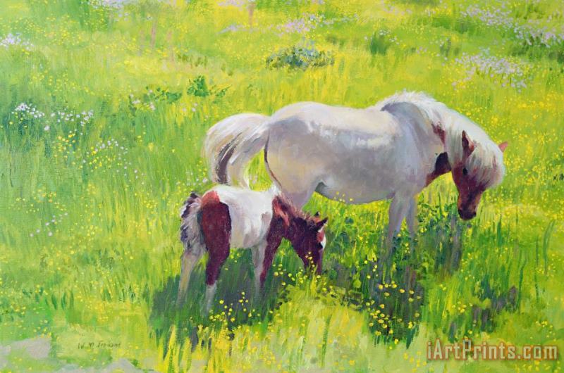 William Ireland Piebald horse and foal Art Painting