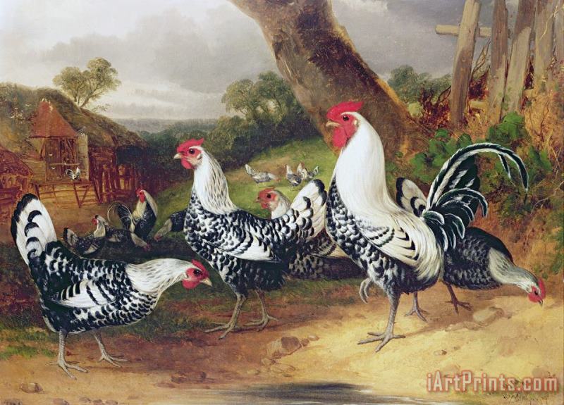William Joseph Shayer Cockerels in a Landscape Art Print