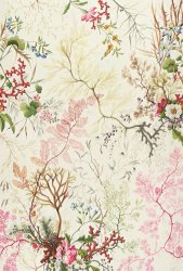 William Kilburn Seaweed design for silk material