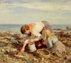 William Marshall Brown Collecting Shells