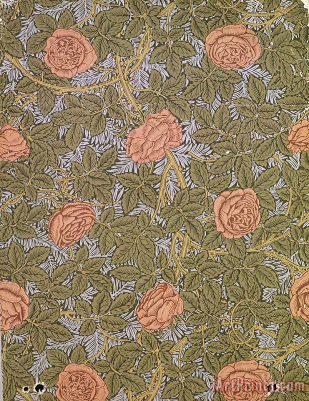 William Morris Rose 93 Wallpaper Design Art Painting