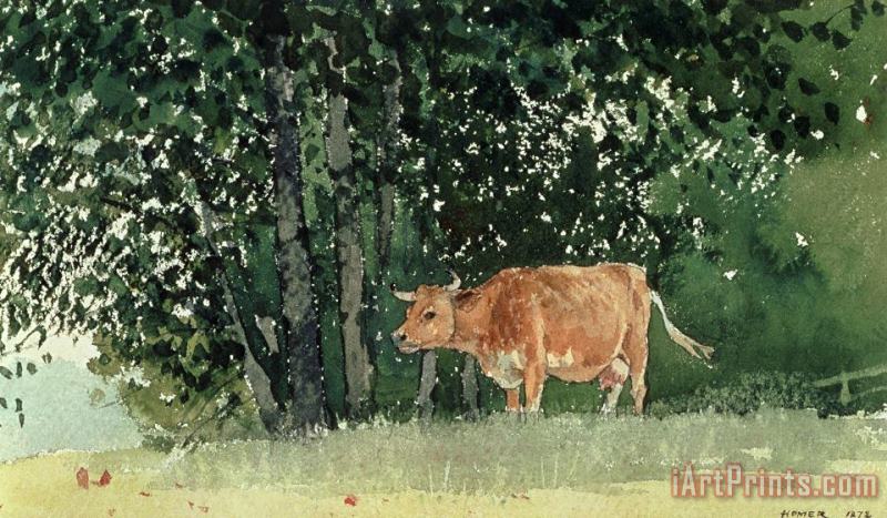 Winslow Homer Cow in Pasture Art Print