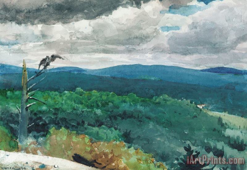 Hilly Landscape painting - Winslow Homer Hilly Landscape Art Print