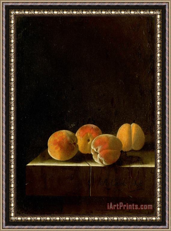 Adriaen Coorte Four Apricots on a Stone Plinth Framed Print