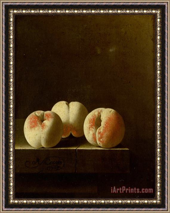Adriaen Coorte Three Peaches on a Stone Plinth Framed Print