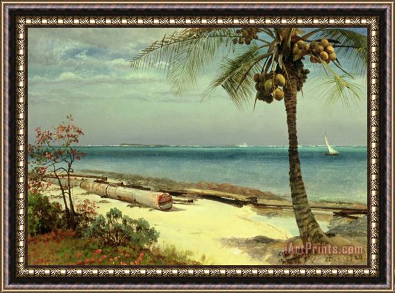 Albert Bierstadt Tropical Coast Framed Painting
