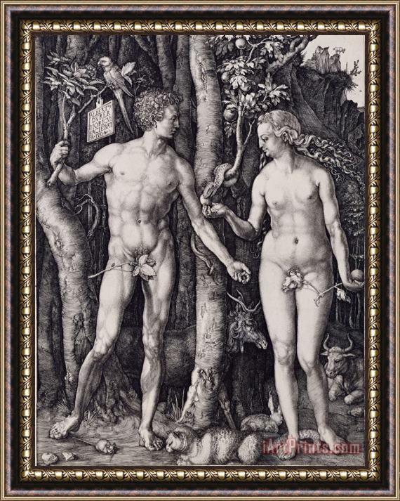 Albrecht Durer Adam And Eve Engraving Framed Painting