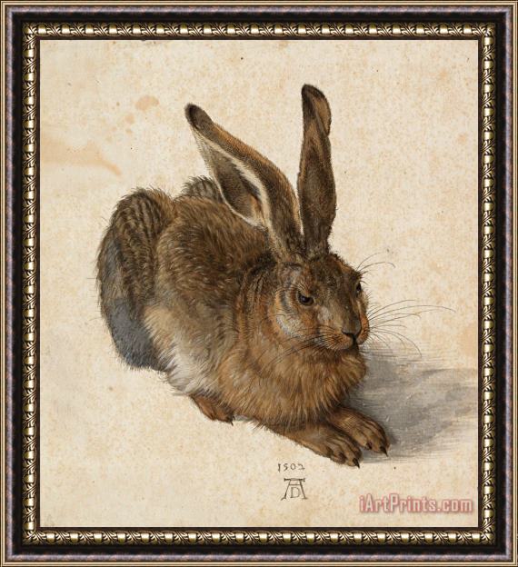 Albrecht Durer Hare, 1502 Framed Painting