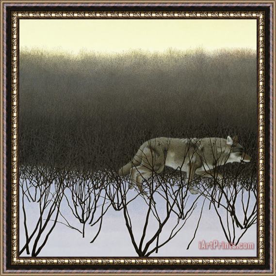 Alex Colville Coyotes And Alders Framed Print