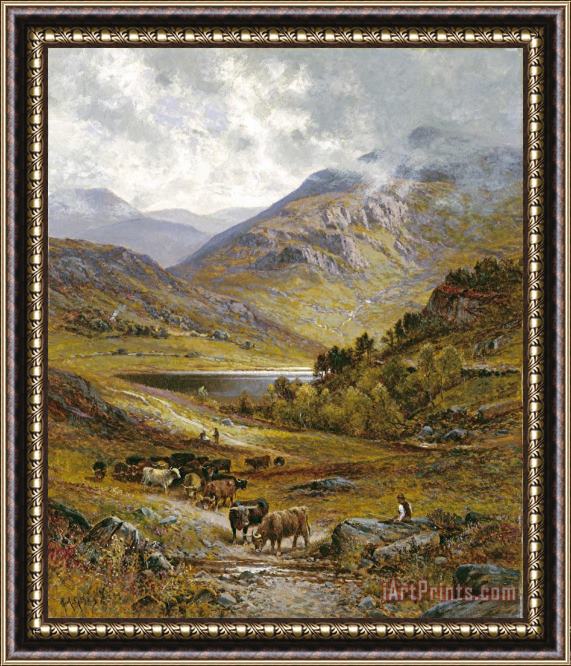 Alfred Augustus Glendening Longhorn Cattle Framed Print
