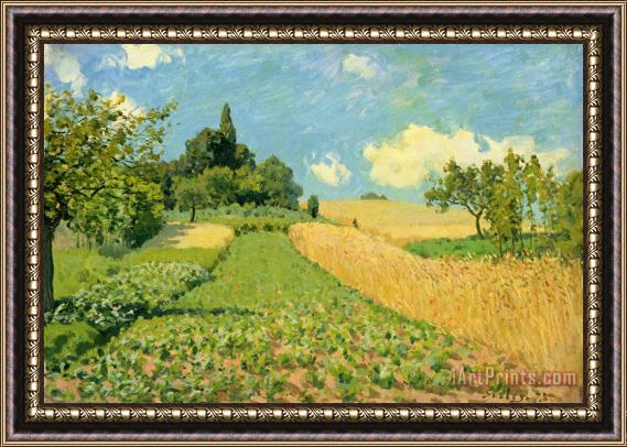 Alfred Sisley The Cornfield Framed Painting
