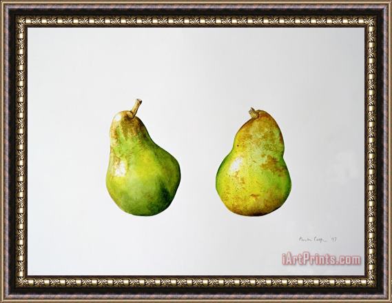 Alison Cooper A Pair of Pears Framed Painting