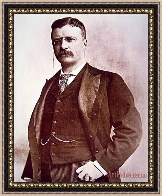 American School President Theodore Roosevelt Framed Print