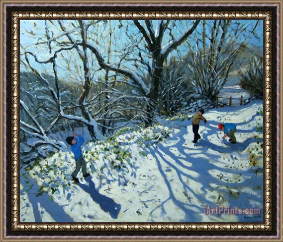 Andrew Macara Snowball fight Framed Print