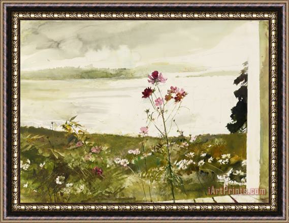 andrew wyeth Cosmos 2005 Framed Painting