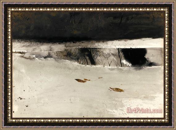 andrew wyeth Ice Pool 1969 Framed Print