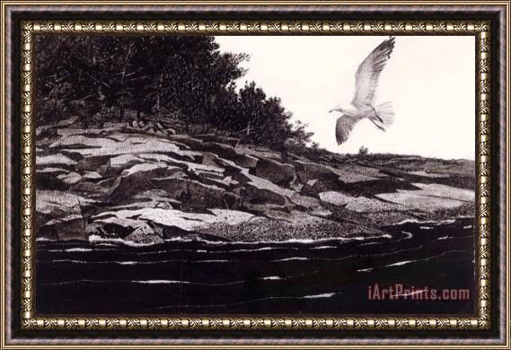 andrew wyeth Ledge on Huppers Island Framed Print