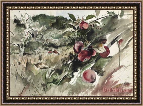 andrew wyeth Picking Apples, 1945 Framed Painting