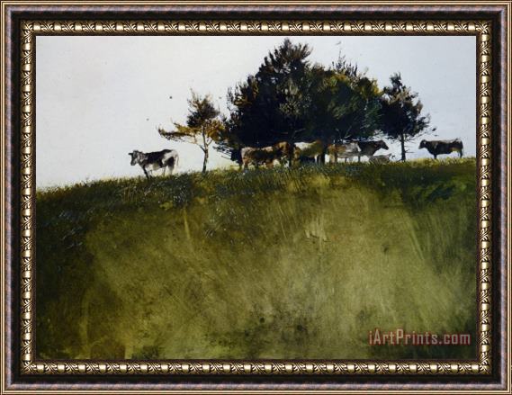 andrew wyeth Shadey Trees Framed Painting