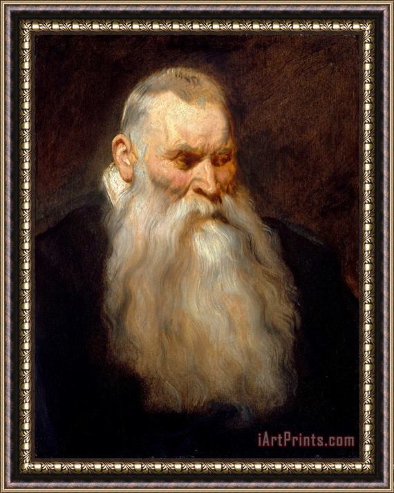 Anthony van Dyck Study Head of an Old Man with a White Beard Framed Painting