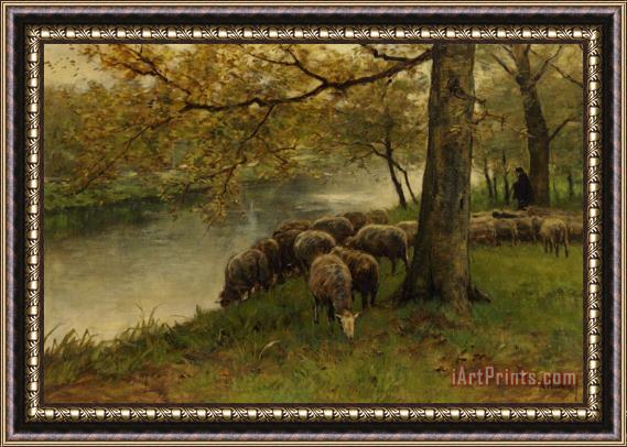 Anton Mauve Sheep Watering by a River Framed Painting