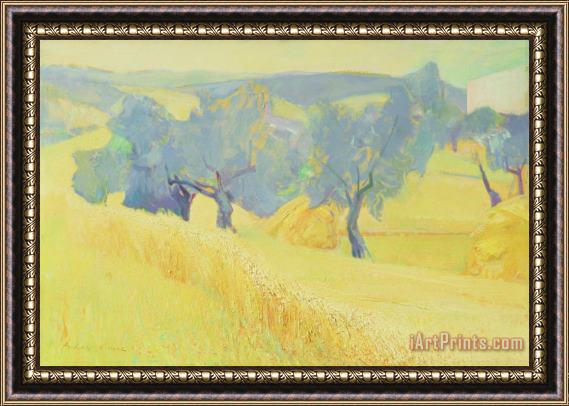 Antonio Ciccone Olive Trees In Tuscany Framed Painting