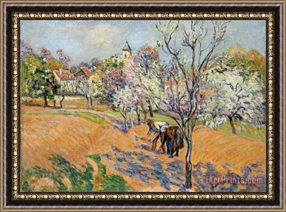 Armand Guillaumin Two Peasants Sowing Haricots in an Orchard in Blossom Framed Print