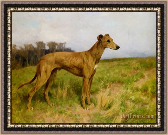 Arthur Wardle Champion Greyhound Dee Flint Framed Painting
