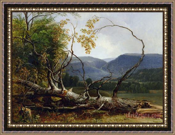 Asher Brown Durand Study from Nature - Stratton Notch Framed Print