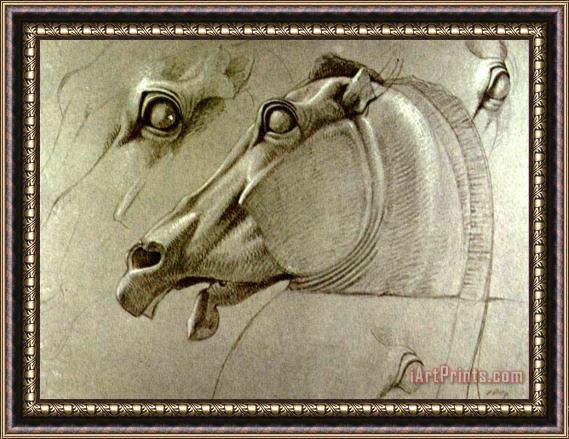 Benjamin Haydon Horse Head Sketch Framed Print
