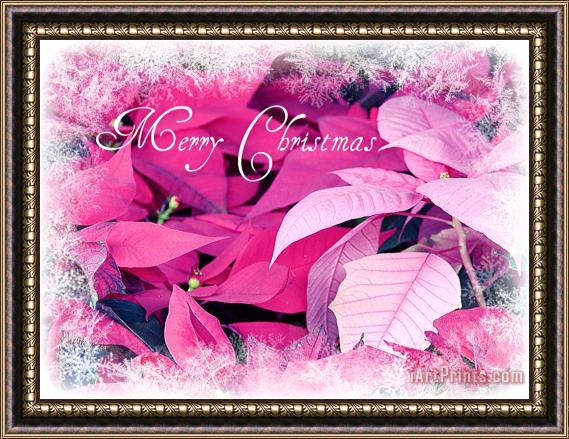 Blair Wainman Christmas Poinsettia Framed Painting