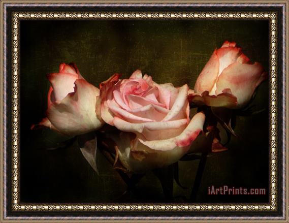Blair Wainman Dusty Rose Framed Painting