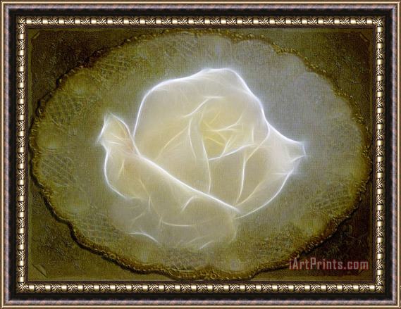 Blair Wainman Ethereal Rose Framed Print